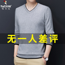 Woodpecker cotton sweater men plus velvet thickened warm knitted base shirt autumn mens loose V-neck sweater tide