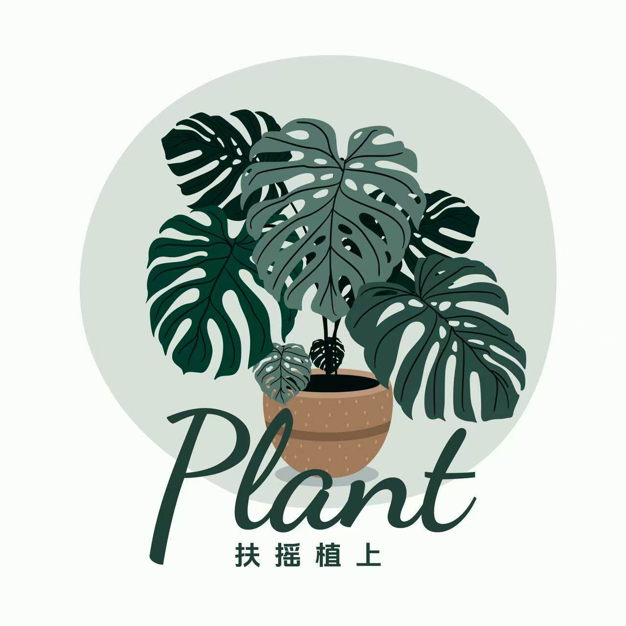 扶摇植上的LOGO