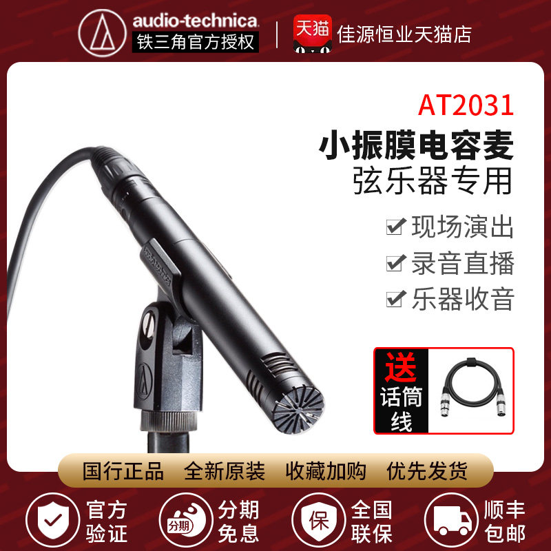 audio-technnica iron triangle AT2031 small vibrating film instrument recording capacitive microphone heart-shaped pickup