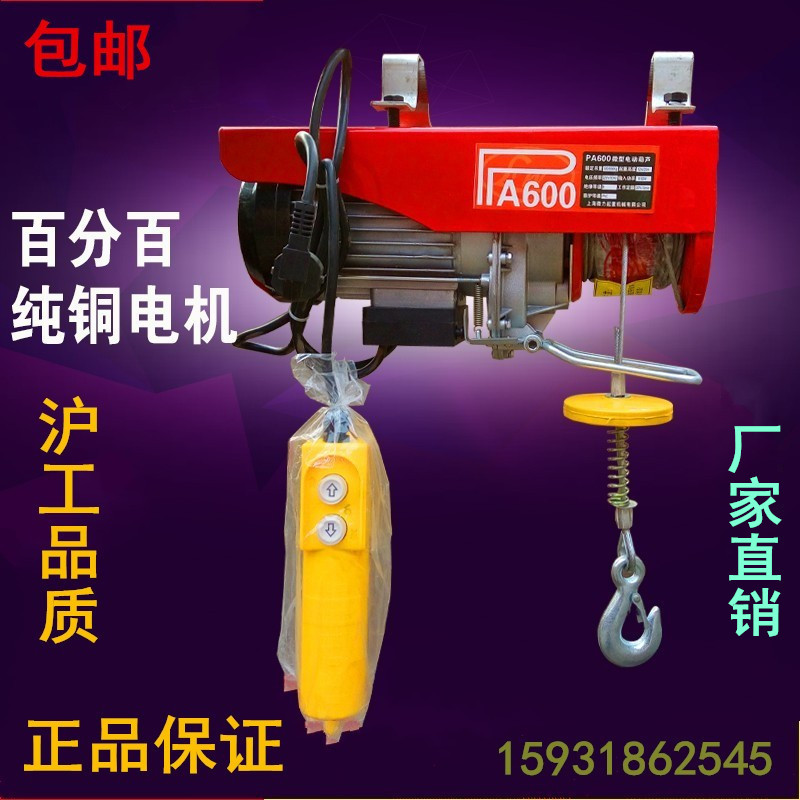 Miniature electric crane 220V small hanger for domestic crane 0 5t1 tons of hoist windlass to renovate cranes