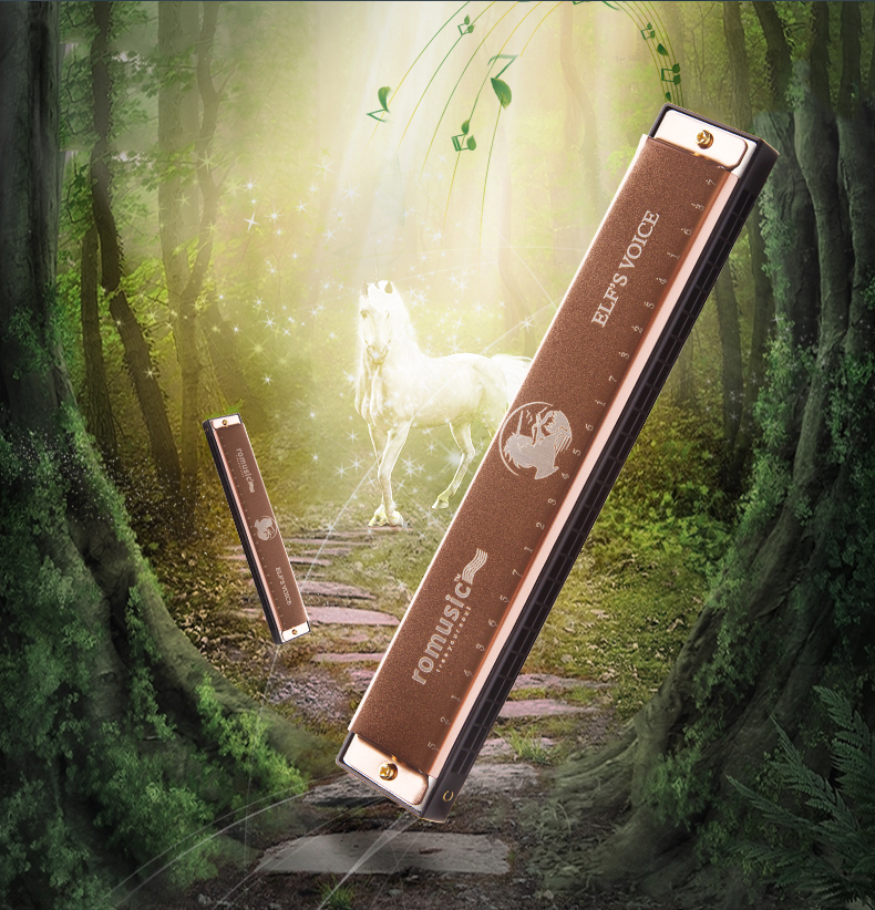 Harmonica người mới bắt đầu 24 lỗ đa âm c nam cao tuổi trẻ em sinh viên chuyên nghiệp chơi nhạc cụ giai điệu piano - Nhạc cụ phương Tây guitar điện yamaha