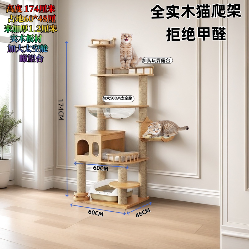 招财猫宠物用品