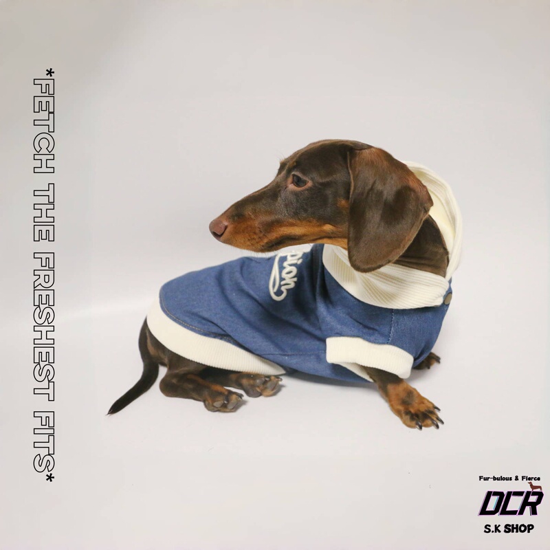 Dog and Cat Pet Clothes Hooded Denim Sweatshirt Jacket Thin Style for Teddy, Dachshund, Miniature Pinscher, Doberman, Yorkshire Terrier