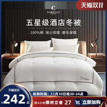 Modern style autumn winter brushed quilt winter thick warm winter quilt spring autumn hotel antibacterial quilt four seasons