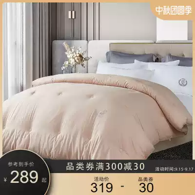 Carson A cotton quilt winter thickened warm cotton quilt winter single cotton quilt quilt quilt core