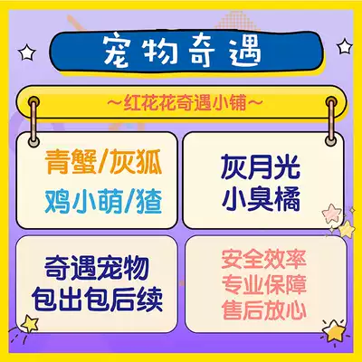 剑三剑网3宠物奇遇青蟹灰狐鸡小萌猹灰月光小臭橘野外抓马里飞沙