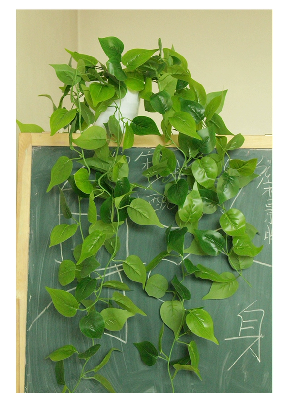 Cây nhân tạo treo giỏ hoa giả mây nhựa lá xanh lá dillium xanh lá cây treo trong nhà treo tường trang trí dây leo - Hoa nhân tạo / Cây / Trái cây
