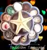 Shell conch Coral sea star gift box specimen Kindergarten Marine science materials Children's gift gift