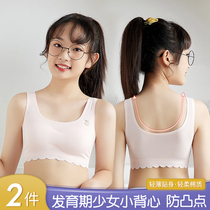 Girls' underwear Developmental period elementary school junior high school children's vest 9-16 year old adolescent girl bra