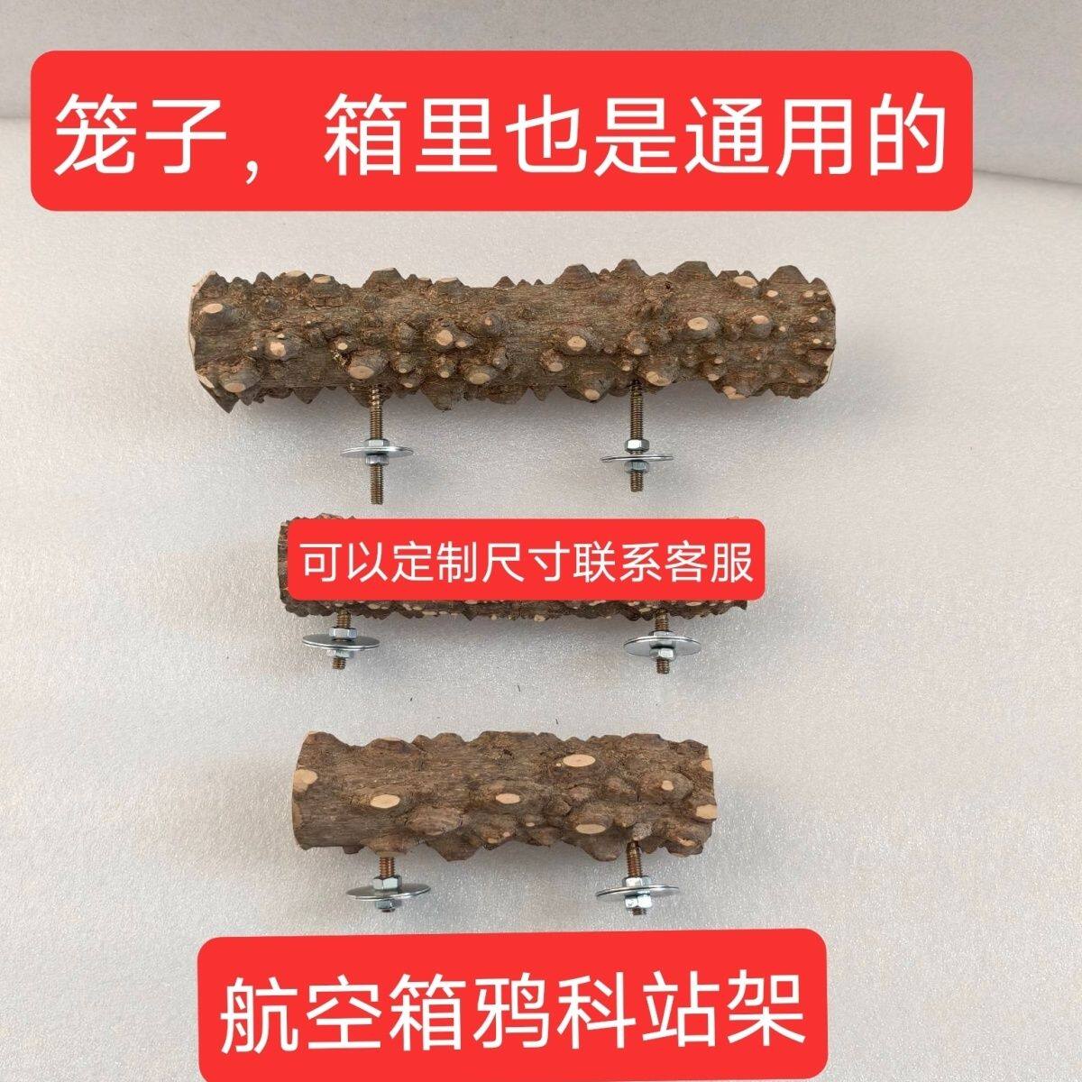 飛行ケース専用の鳥用止まり木。トゲトネリコの木で作られており、鳥がかじったり、シロエリヒメドリをかじったりするための内側と外側の止まり木が付いています。