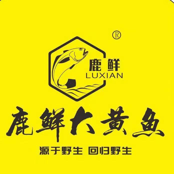 鹿西岛鹿鲜黄鱼海产批发