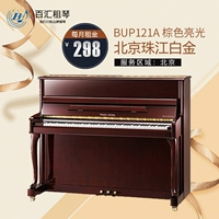 Baihui cho thuê đàn piano cho thuê đàn piano Thành phố Bắc Kinh mới nhà dọc trẻ em dài hạn kiểm tra người lớn BUP121A roland f140r