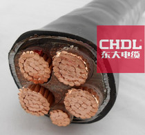 Dongda cable YJV 22 power cable 2 3 5 core 10 16 25 35 50 square national standard copper wire armor