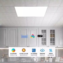 Tuya Zigbee panel light embedded Mijia smart kitchen ceiling flat light aluminum gusset plate kitchen and bathroom ceiling light