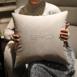 Byd Pillow Quilt Dual-Purpose Foldableing Han, Song and Qin Classy Car Air-Conditioning Quilt Pillow Car Sleeping Supplies
