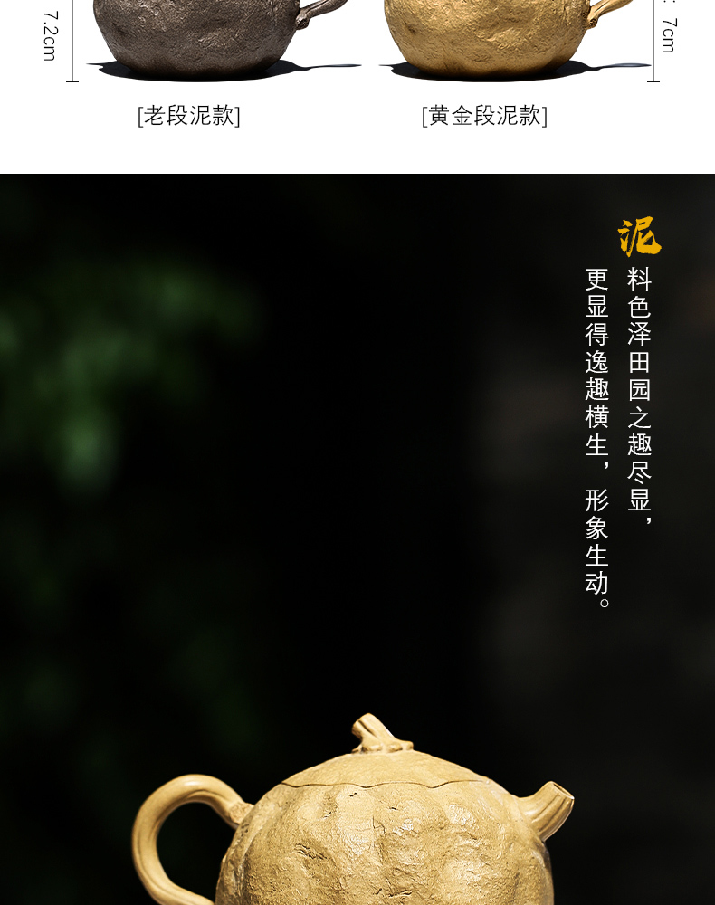 Shadow at yixing famous pure manual it undressed ore section of mud for spring teapot tea HNYY pumpkin