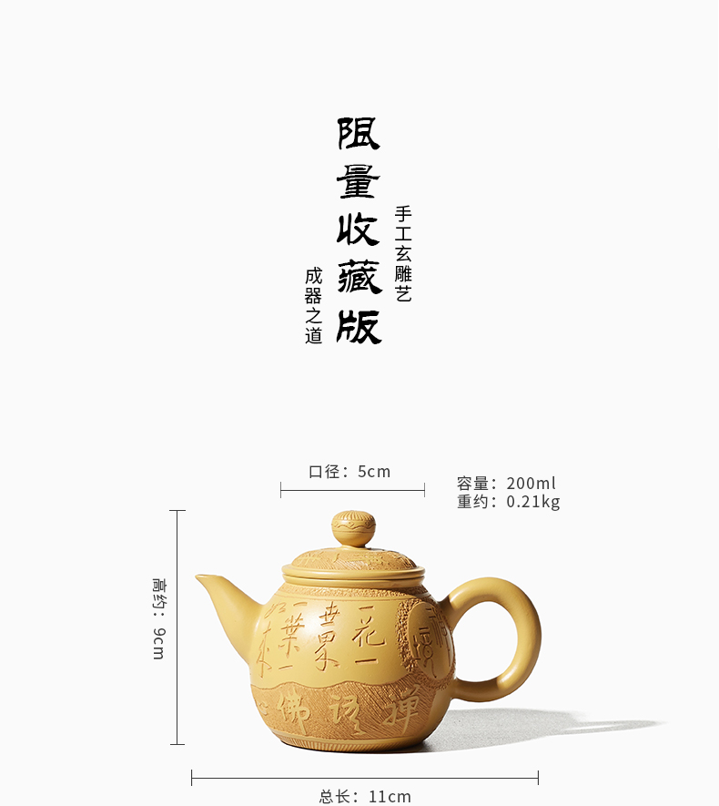 Shadow at home little teapot Chen Dongzhu famous ceramic tea pot - period of mud ore purple sand tea set kung fu tea pot