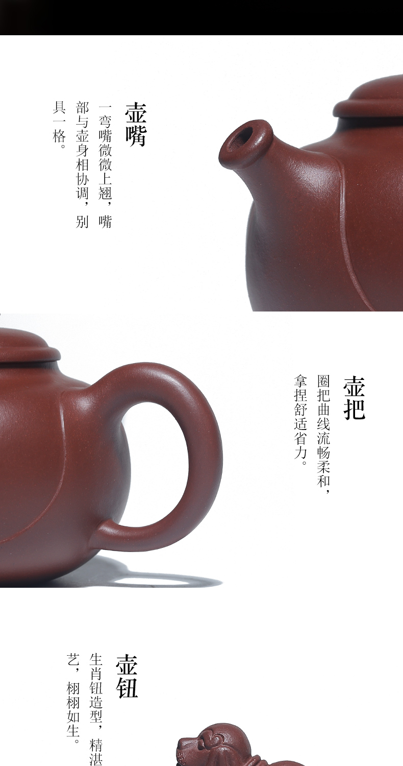 Shadow at present yixing it undressed ore famous purple clay teapot suit pure manual zodiac kung fu