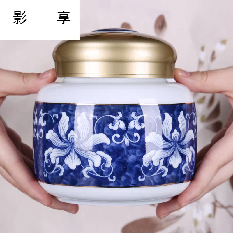 Shadow enjoy household ceramic tea pot with cover POTS of blue and white porcelain tea boxes tea barrel wake receives storage tanks BLT