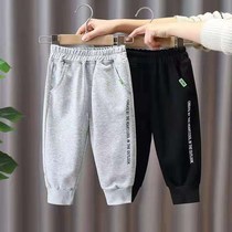 Korean boy pants spring and autumn 2021 new childrens foreign style autumn trousers boys sports casual pants childrens clothing tide