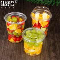 Jiahaohe Fruit Fishing Box Dessert Box Disposable Watermelon Packing Box Plastic Takeaway Fruit Salad Fresh Fruit Cut
