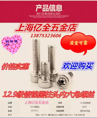 Promotion 12 Grade 9 Nickel plated hexagon socket head cap screw DIN912 cylindrical head hexagon screw M6*8-100