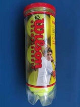 Wilwin Wilson Championship Champion Competition 3 Canned Bonded Tennis Sport Training Bulk