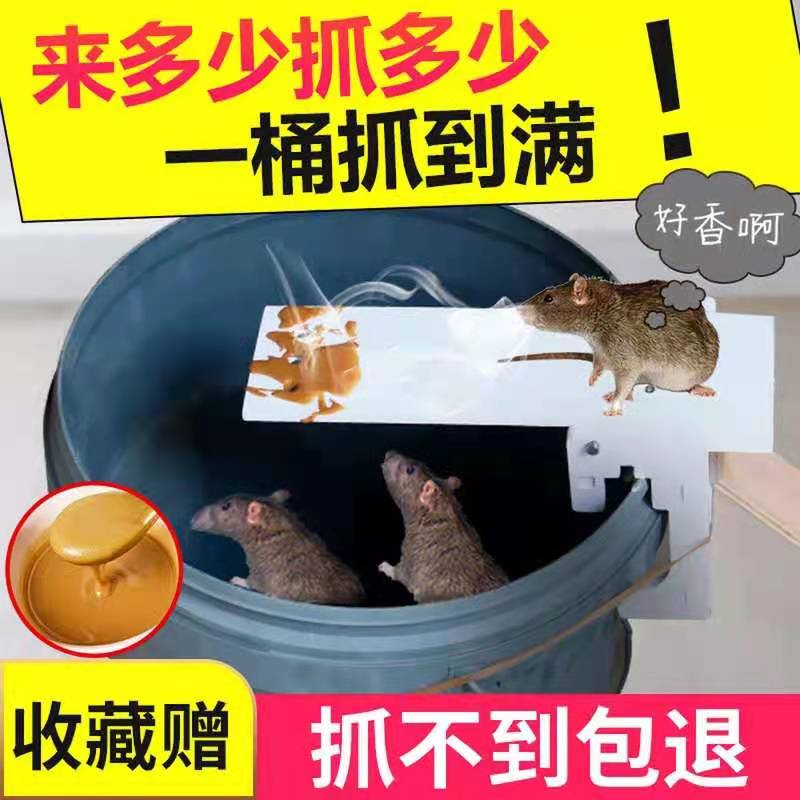 Mouse catching artifact household automatic super strong continuous high-efficiency catch and kill cage clip nemesis trap
