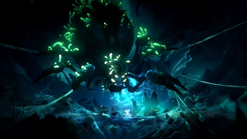 Switch Game NS Олимпийская Япония 1+2 Коллекция Orif Elf and Firefly Dark Forest китайское место