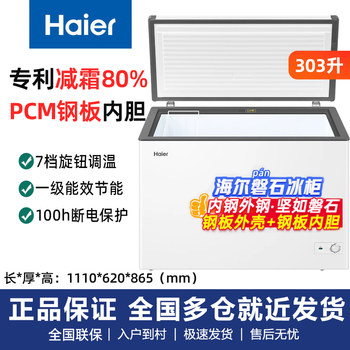 Frost-Reducing New Model Haier 303 Liter Single Temperature Freezer Steel Plate Liner Bc/Bd-303Ghpdz