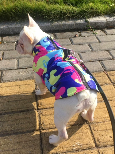 Демисезонный камуфляжный удерживающий тепло жилет, осенний сезон, подходит для подростков, увеличенная толщина