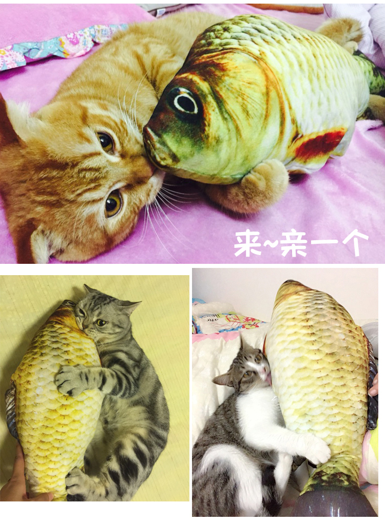 Mèo đồ chơi catnip vui mèo đồ chơi cá mèo gối cỏ cá pháp luật chiến đấu chó sang trọng mèo cá đồ chơi do choi cho cho