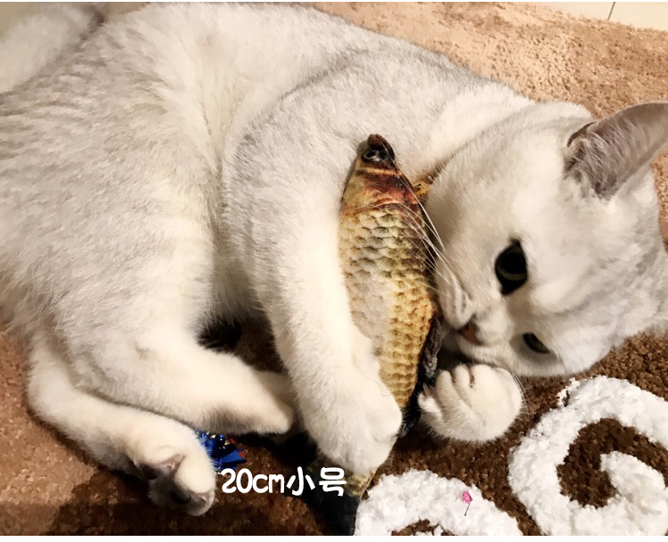 Mèo đồ chơi catnip vui mèo đồ chơi cá mèo gối cỏ cá pháp luật chiến đấu chó sang trọng mèo cá đồ chơi do choi cho cho