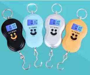Mini small hanging scale household electronic weighing hand bag weighing 40kg 10g high precision hook weighing