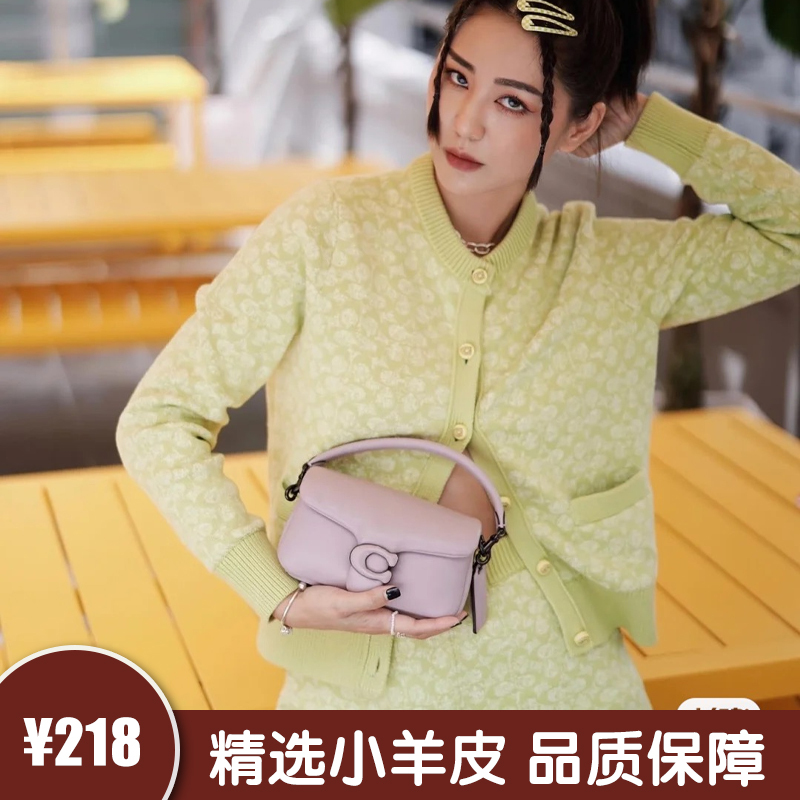 2024 New Women's Bag Fashion Trend Pillow Bag Single Shoulder Crossbody Handbag Underarm Bag Tabby Soft Cloud Bag