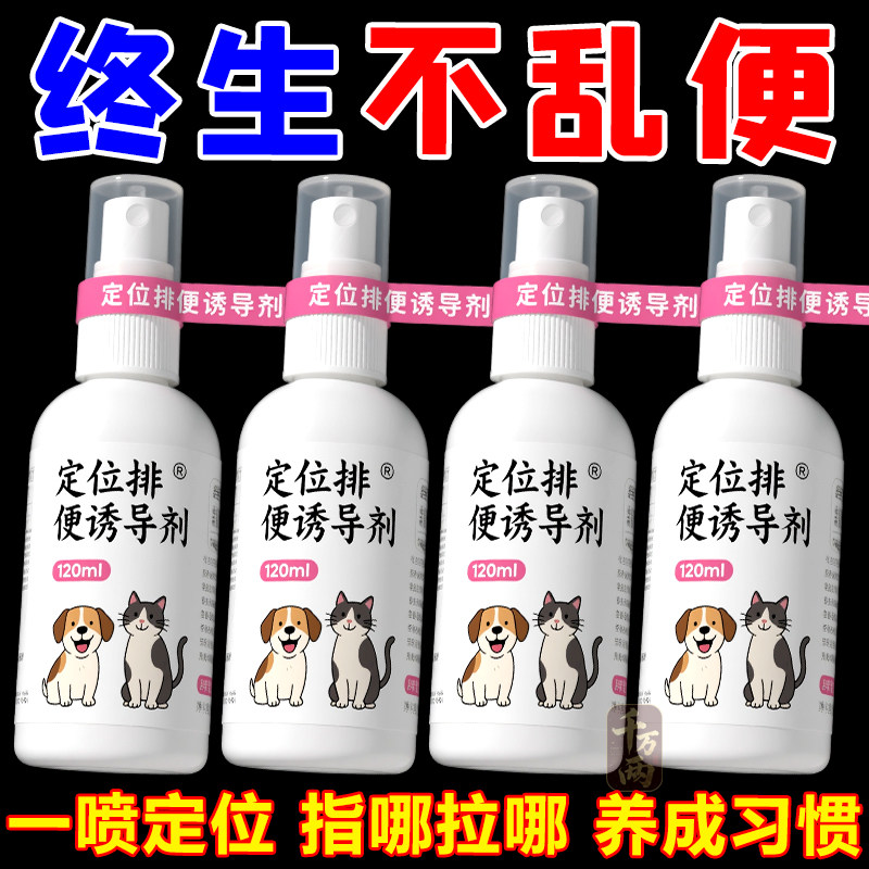 Dog toilet inducer urinates and defecates at fixed points