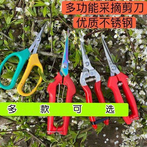Stainless steel pruning shears grape shears flower shears garden labor-saving fruit shears multi-functional garden shears garden labor-saving tools