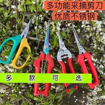 Stainless steel pruning shears grape shears flower shears garden labor-saving fruit shears multi-functional garden shears garden labor-saving tools