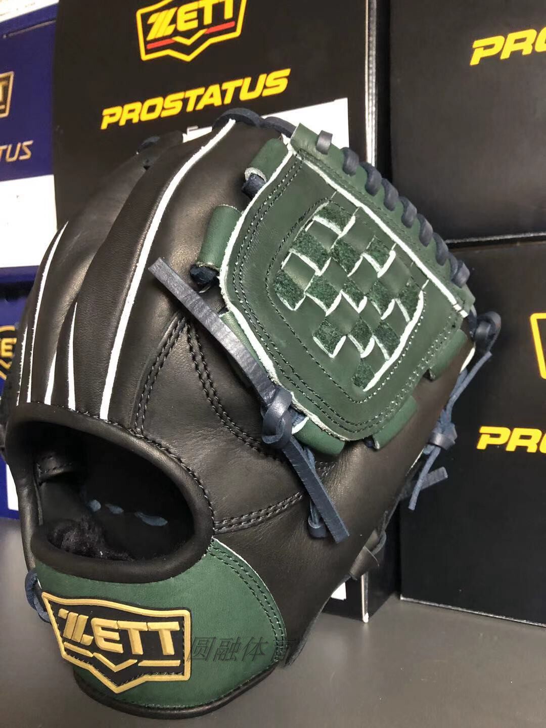 (Round-melt sports) ZETT BPGB17110 TRAINING with baseball glove Vietnam system