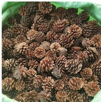 Natural pine cones Christmas wild pine tower decoration dried flowers kindergarten creative pine cones handmade diy material 2-14CM