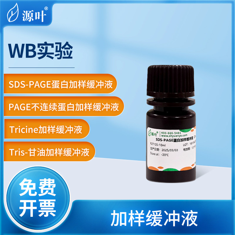 源叶SDS-PAGE蛋白加样缓冲液含TCEP实验室Tricine加样缓冲液甘油