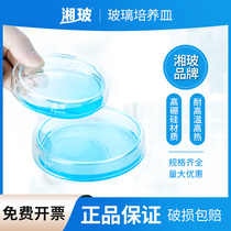 Xiangbou glass culture dish 90mm 60 75100m m 75100m m round cell glass petri dish thickened