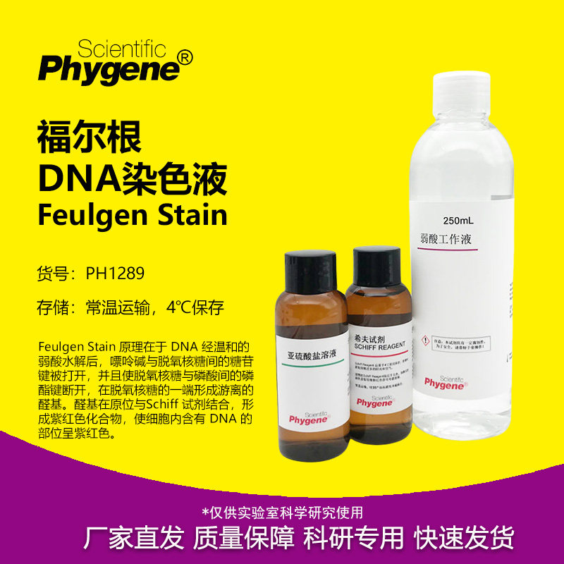福尔根DNA染色液 孚尔根染色液 Feulgen Stain PH1289 PHYGENE