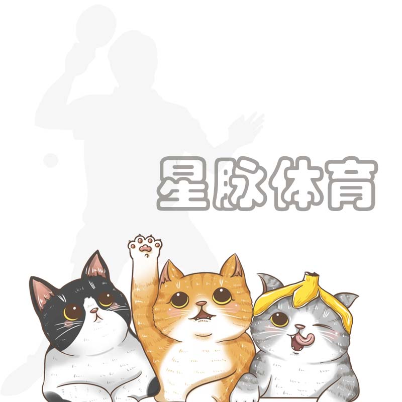 星脉体育用品店的LOGO