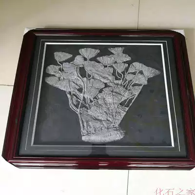 Sea lilies, fossils, paleontology, marine animals, fossil specimens, recommended by the treasurer