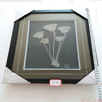 Guizhou sea lily fossil paleontology Marine animal fossil specimen Strange stone treasurer recommended