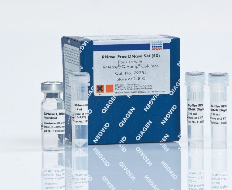 Qiagen 79256 DNA酶套装RNase-Free DNase Set现货