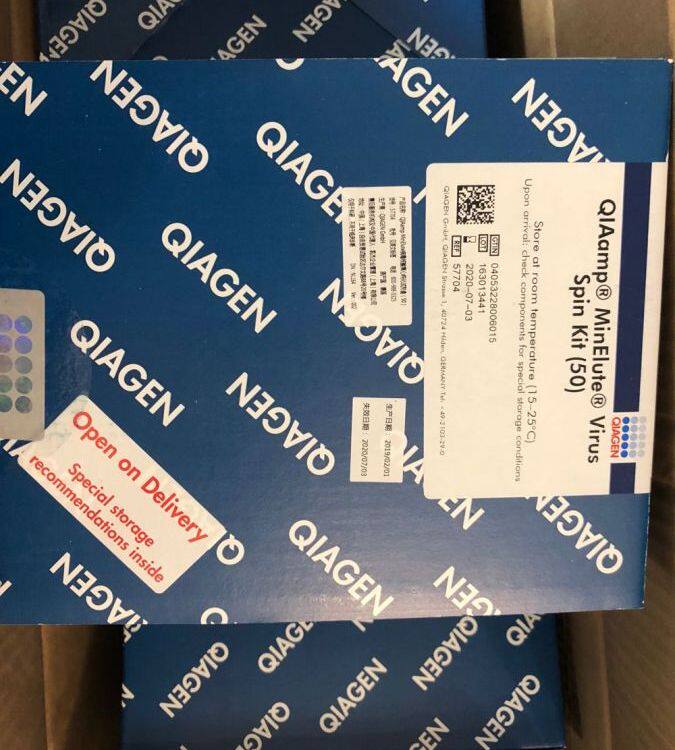 Qiagen 57704 病毒RNA/DNA纯化试剂盒,QIAamp MinElute Virus Sp