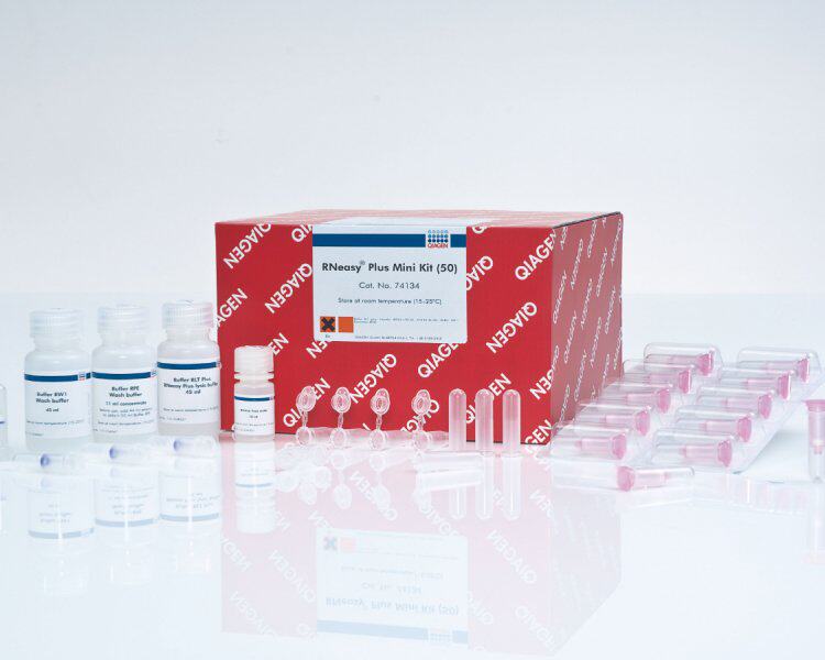 Qiagen 74134 总RNA小提试剂盒RNeasy Plus Mini Kit凯杰74136