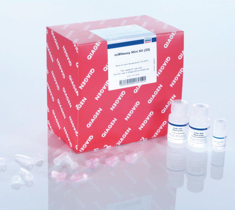 Qiagen 217084微量样本miRNA和总RNA提取试剂盒miRNeasy Micro Ki